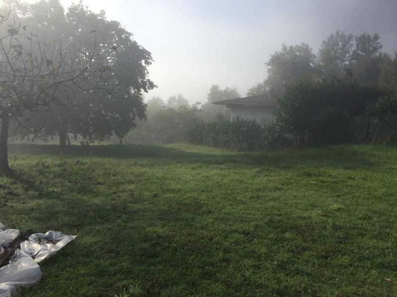 terreno agricolo in vendita a Ceccano