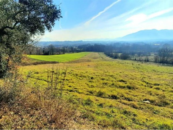terreno agricolo in vendita a Ceccano
