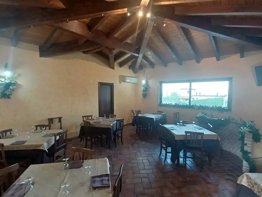 negozio in vendita a Ceccano