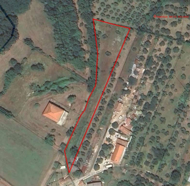 terreno agricolo in vendita a Ceccano
