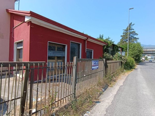 negozio in vendita a Ceccano