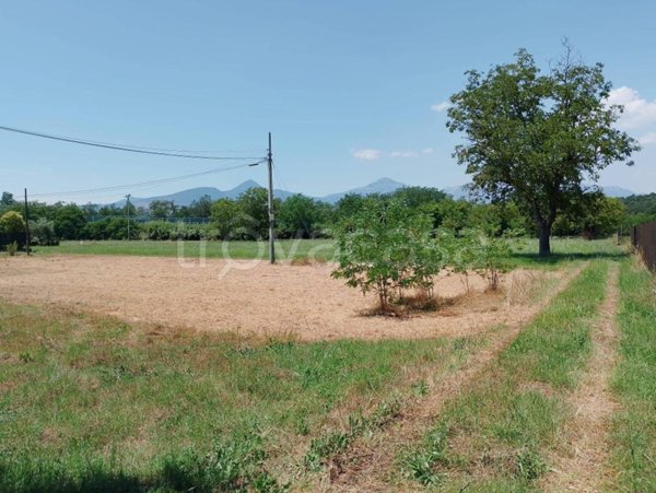 terreno agricolo in vendita a Ceccano