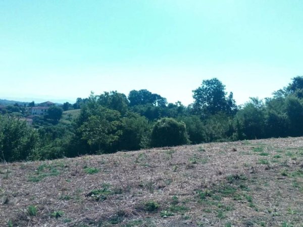 terreno agricolo in vendita a Ceccano