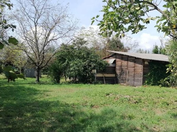 casa indipendente in vendita a Ceccano