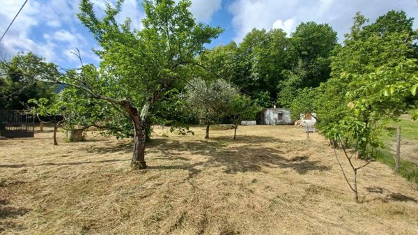 casa indipendente in vendita a Ceccano