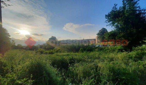 terreno agricolo in vendita a Ceccano