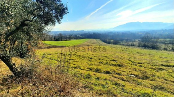 terreno agricolo in vendita a Ceccano