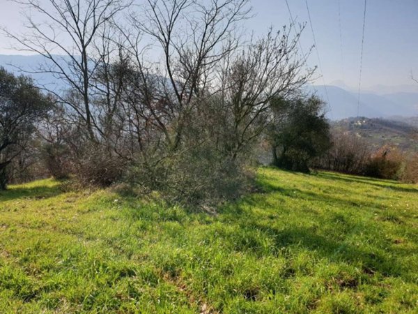 casa indipendente in vendita a Ceccano