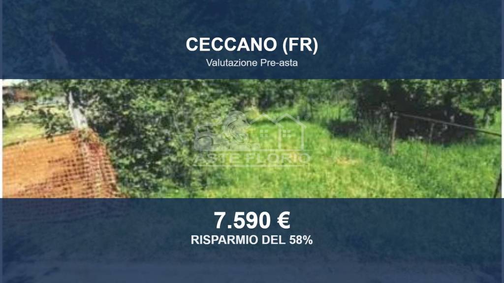 terreno agricolo in vendita a Ceccano
