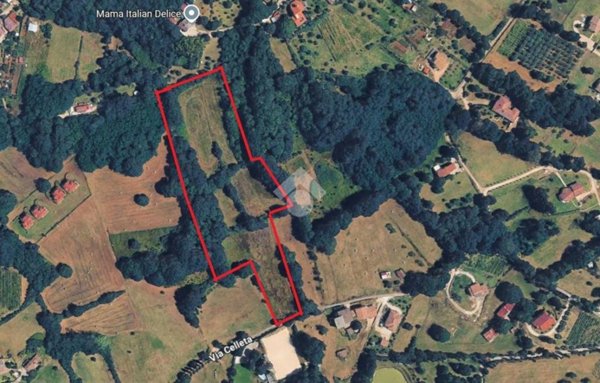 terreno agricolo in vendita a Ceccano