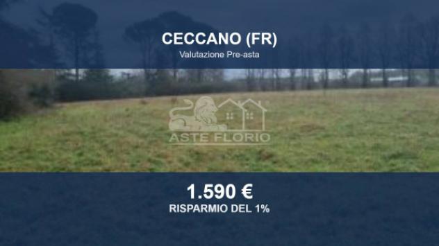 terreno agricolo in vendita a Ceccano