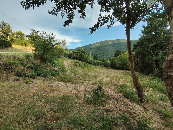 terreno agricolo in vendita a Ceccano