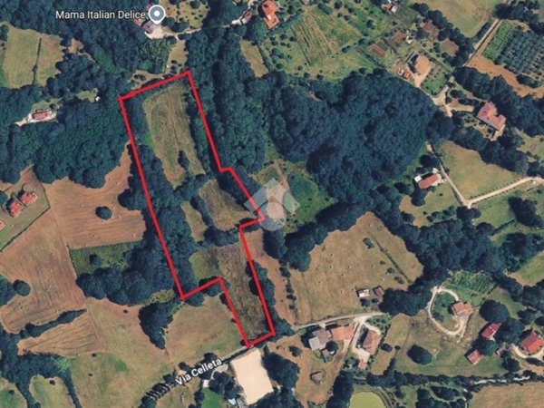terreno agricolo in vendita a Ceccano