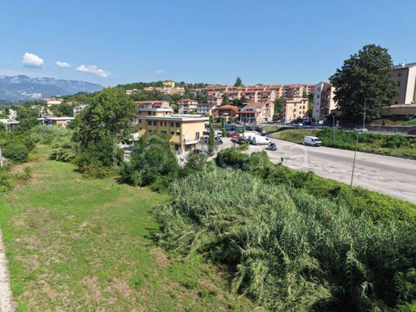 terreno agricolo in vendita a Ceccano