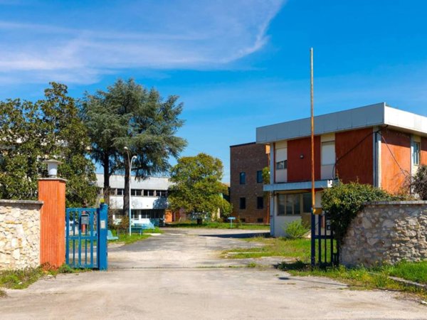 locale commerciale in vendita a Ceprano