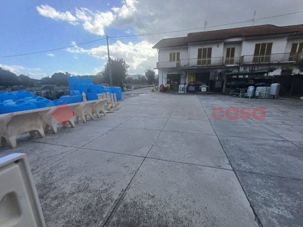 trivano in vendita a Ceprano