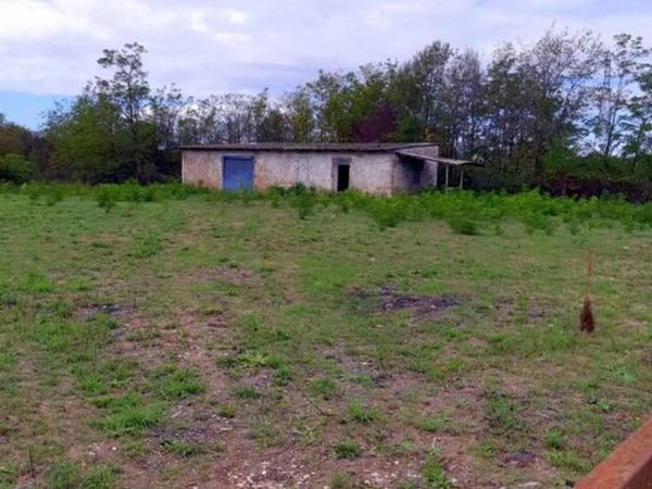 locale commerciale in vendita a Ceprano