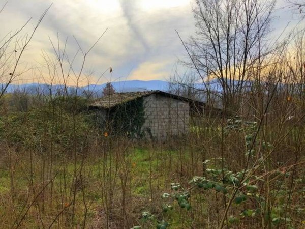 locale commerciale in vendita a Ceprano