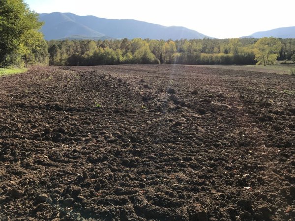 rudere in vendita a Ceprano