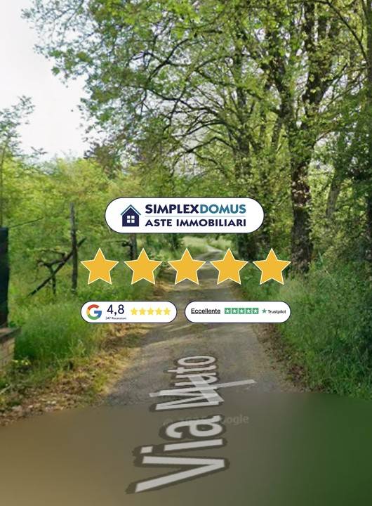 immagine annuncio 0 di 1