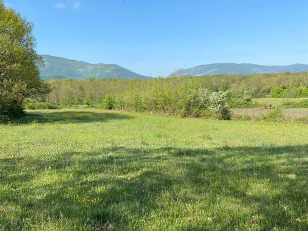 terreno agricolo in vendita a Ceprano