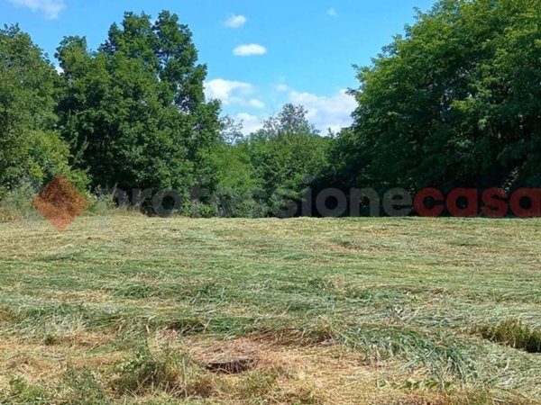 terreno agricolo in vendita a Ceprano