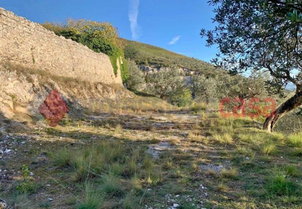 terreno agricolo in vendita a Cervaro