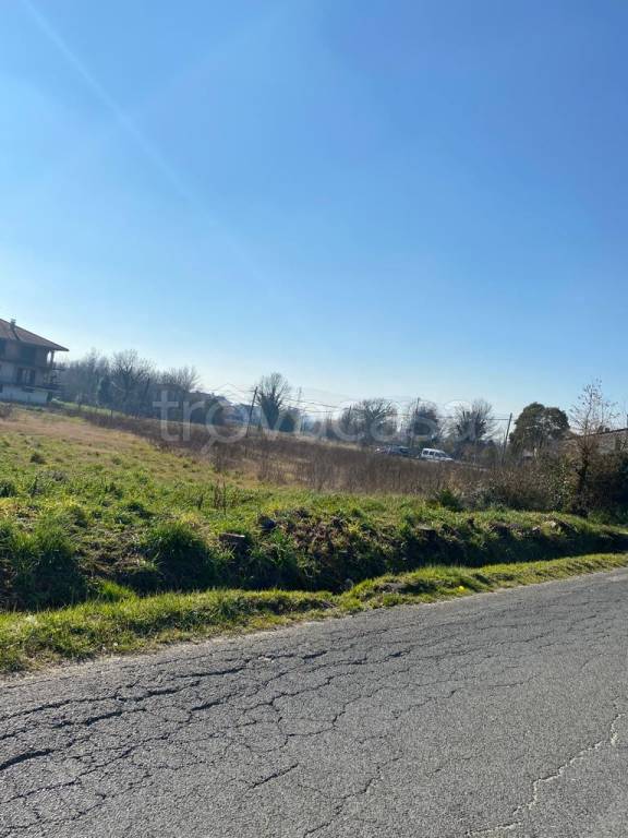 terreno agricolo in vendita a Cervaro