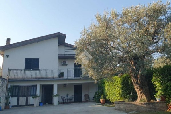 immagine annuncio 0 di 1