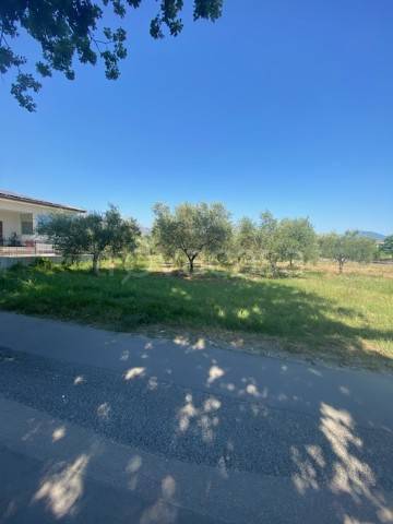 terreno agricolo in vendita a Cervaro