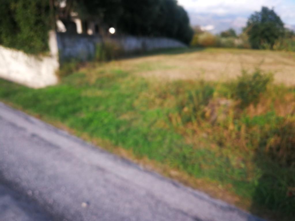 terreno agricolo in vendita a Cervaro