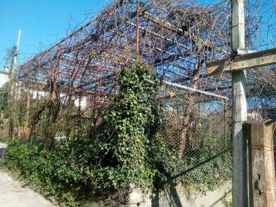 appartamento in vendita a Cervaro