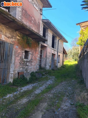 terreno agricolo in vendita a Cervaro