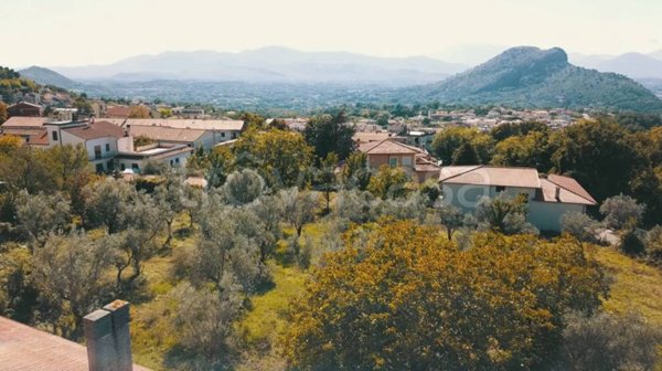 terreno agricolo in vendita a Cervaro