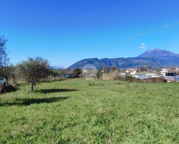 terreno agricolo in vendita a Cervaro