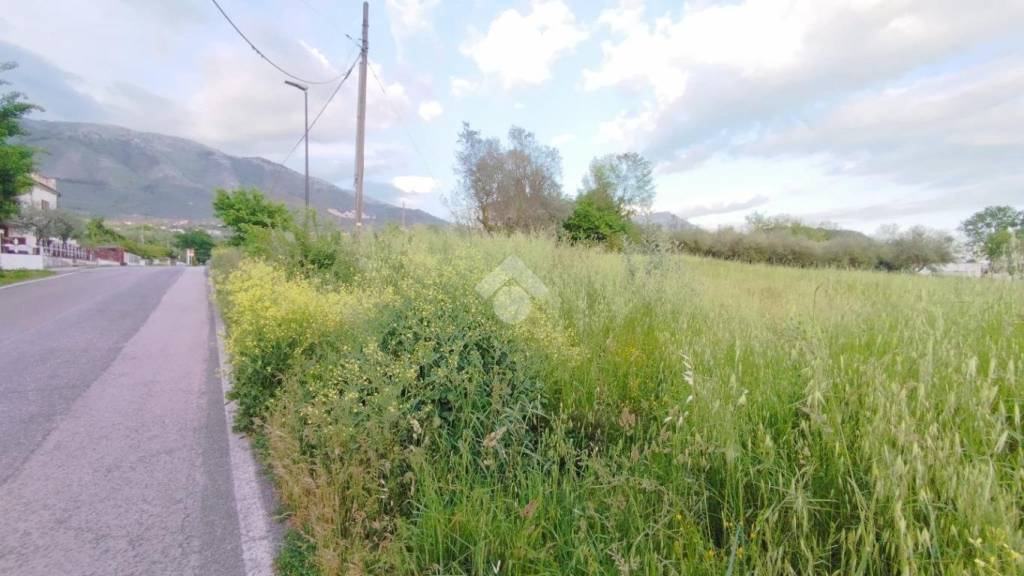 terreno agricolo in vendita a Cervaro