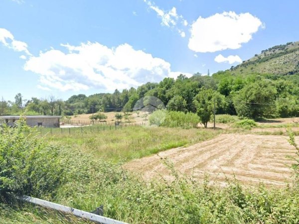 terreno agricolo in vendita a Cervaro