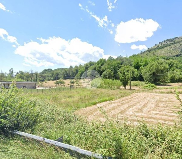 terreno agricolo in vendita a Cervaro