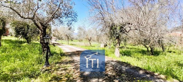 casa indipendente in vendita a Cervaro