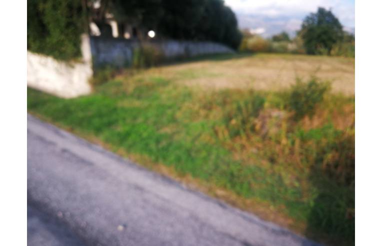 terreno agricolo in vendita a Cervaro