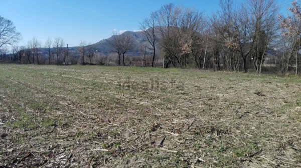 terreno agricolo in vendita a Cervaro