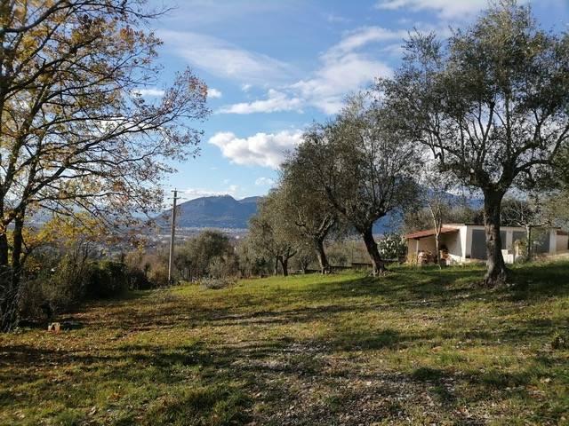 terreno agricolo in vendita a Cervaro