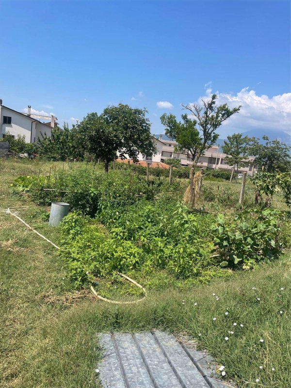 appartamento in vendita a Cervaro