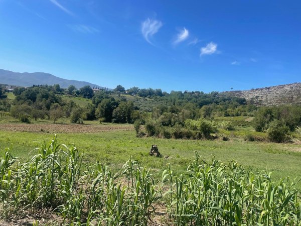 terreno in vendita a Cervaro
