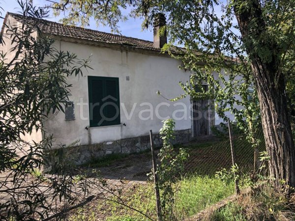 casa indipendente in vendita a Colfelice