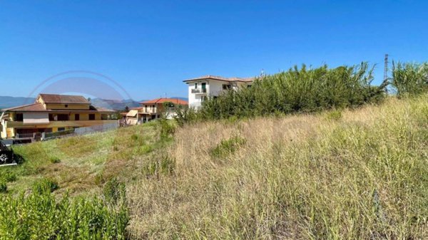 terreno agricolo in vendita a Colfelice