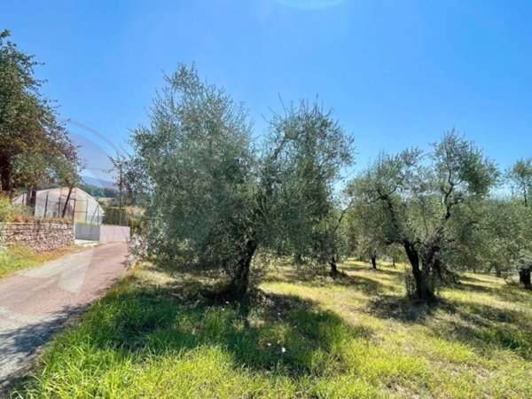terreno agricolo in vendita a Colfelice in zona Coldragone