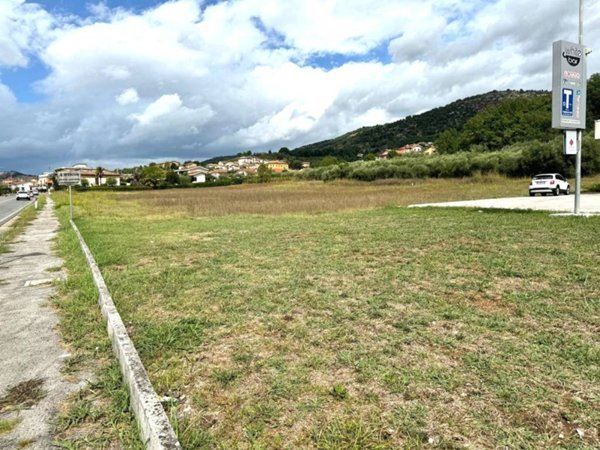 terreno agricolo in vendita a Colfelice