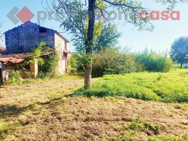 casa indipendente in vendita a Colfelice