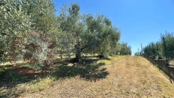 terreno edificabile in vendita a Colfelice
